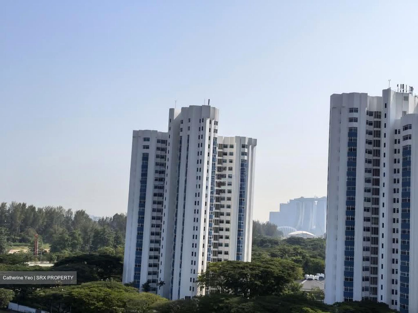 One Meyer (D15), Apartment #605855491